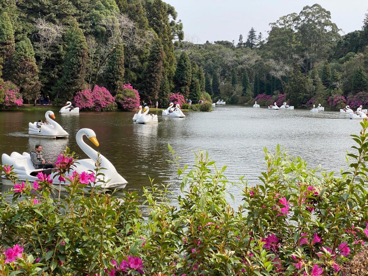 2 Suite, 1 Dormitorio Em Meio A Mata Araucaria A 1,5 Km Centro, Altos De グラマド エクステリア 写真