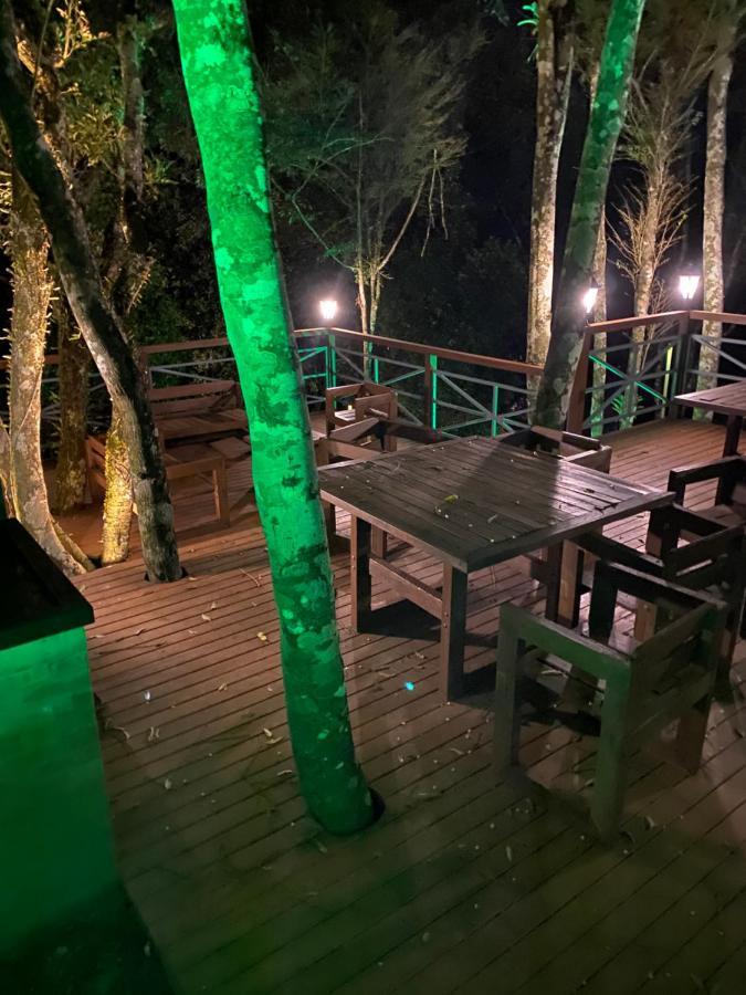 2 Suite, 1 Dormitorio Em Meio A Mata Araucaria A 1,5 Km Centro, Altos De グラマド エクステリア 写真